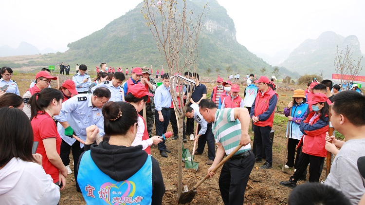 税务青年与全区青年一起共建绿水青山1.jpg